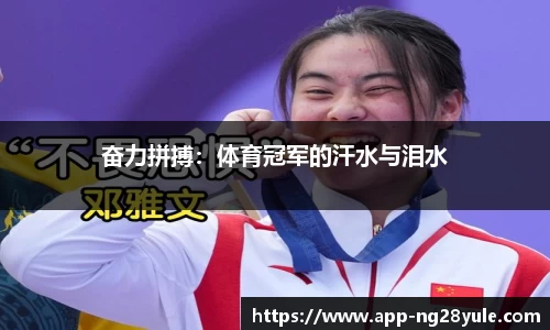 ng28官方网站