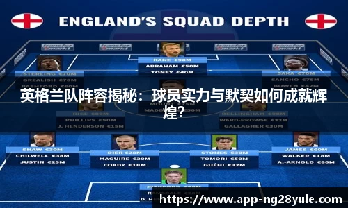 ng28官网