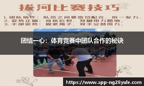 ng28官方网站