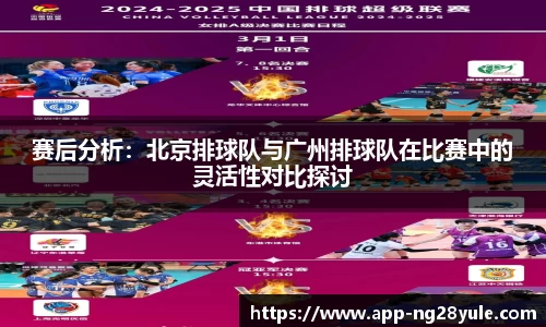 ng28官网