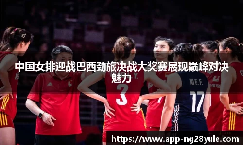 ng28官方网站